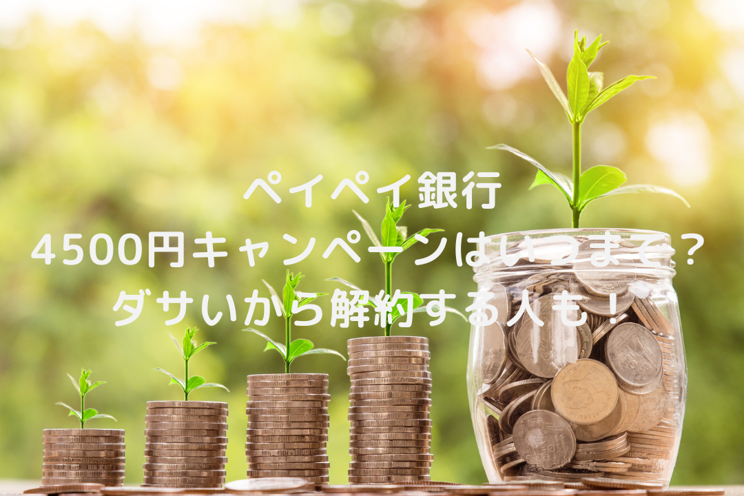 ペイペイ銀行4500円キャンペーンはいつまで ダサいから解約する人も そよかぜの今日もワクワク